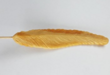 confiserie Hallard, Sucette – Plume