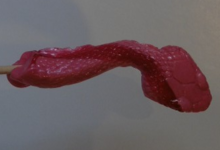 confiserie Hallard,   Sucette en forme de serpent