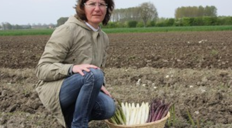 Stéphanie CAILLETEAU, asperges