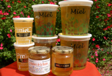 les ruchers de la Maulne, Le miel d'acacia