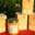 les ruchers de la Maulne, Le miel à la gelée royale