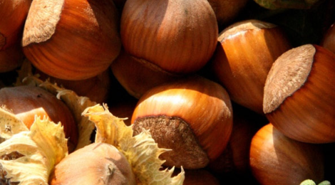 les Douceurs du Pays de Racan, Noisettes
