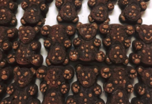 petits moelleux chocolat avec des pépites