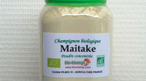 Poudre pure concentrée de Maitaké, Bio Champi