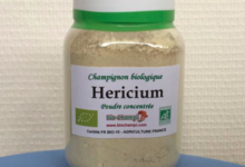 Poudre pure concentrée de Hericium