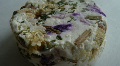 Palet de feuilles de thym citronné et estragon, fleurs d’acacia et pétales de mauve
