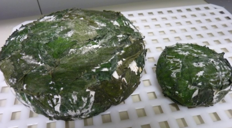 tomme affinée aux plantes sauvages