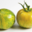 Tomates Tiverta 