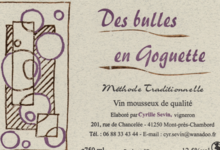 Cyrille Sevin, Les Bulles en Goguettes