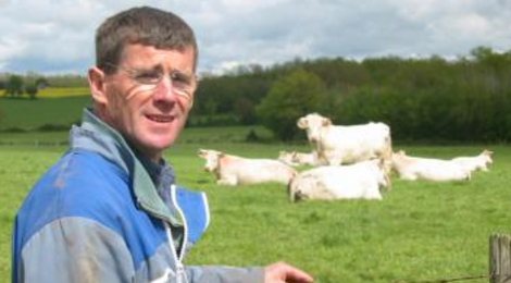 Viande bovine en caissette