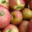 pommes bio