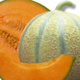 Sarl Richard (MELONS GASTON)