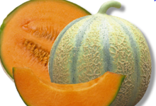 Melons