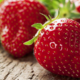 EARL Saint Martin, fraises