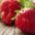 EARL Saint Martin, fraises