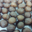 marrons glacés