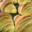 croissants