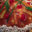 brioche bordelaise