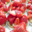 Boulangerie Hamelin, tartelettes aux fraises
