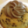 Boulangerie Hamelin, tigre