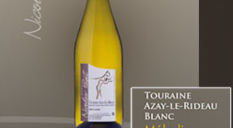 domaine Nicolas Paget, Azay-le-Rideau