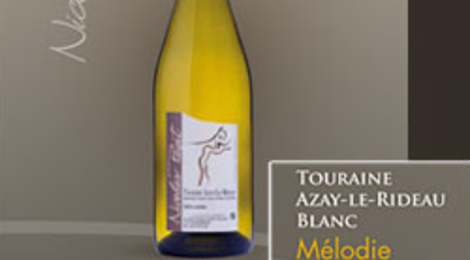 domaine Nicolas Paget, AOC Touraine