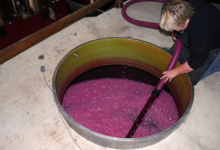 Domaine Fabrice Gasnier