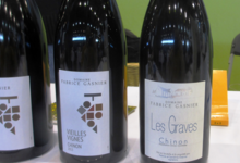 Fabrice Gasnier, Les Graves