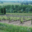 Domaine Bernard Baudry
