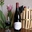 Domaine Taluau Foltzenlogel, Le Bourgueil