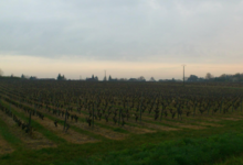 Benoït Gautier, Domaine de la Châtaigneraie