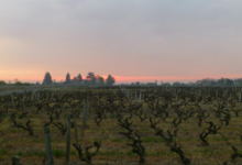 Benoït Gautier, Domaine de la Châtaigneraie