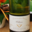 domaine des Bessons, Médium