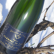 domaine des Bessons, Elégance