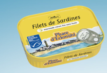 Phare d’Eckmühl,  Filets de sardines marinade citron bio