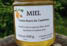 Miel toutes fleurs du Cambresis