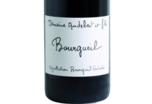 Domaine Audebert et fils, Bourgueil