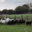 Moutons des Landes de Bretagne