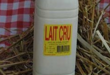Lait cru