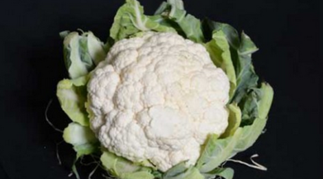 Chou Fleur bio