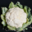Chou Fleur bio