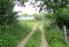 la ferme d'olivier