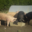 La Ferme Du Pre Bois