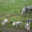 La Ferme Du Pre Bois