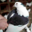 Pigeons Vivants