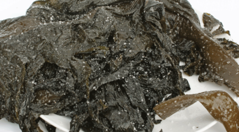 Feuilles d'algues Wakamé salées fraiches