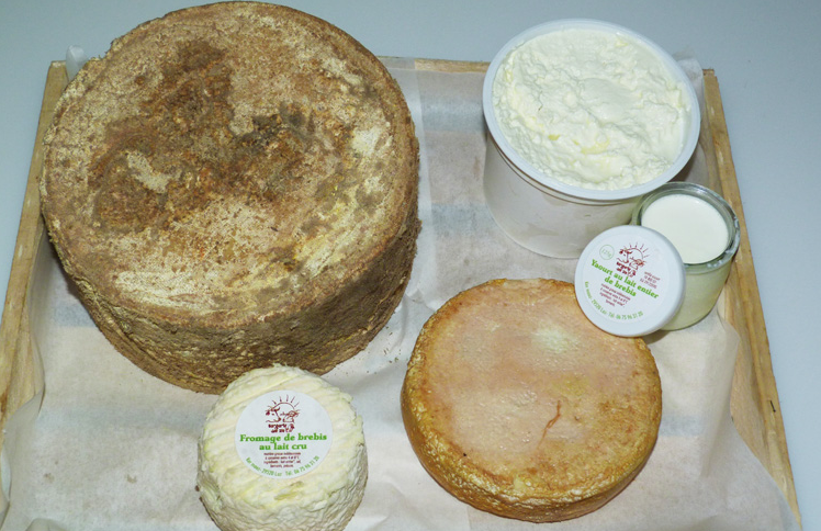 Fromages De Brebis 