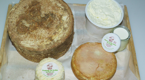fromages de brebis