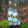 Awen nature, Gin Mist