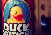  Duck de Bretagne 